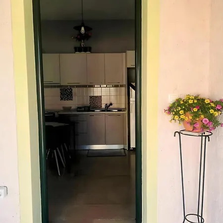 Aglaia's 7th Branch Apartment *