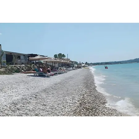 Aglaia's 7th Branch Αχαράβη